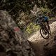 Specialized Enduro 29er