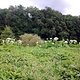 Foto0039