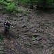 IMG 6999