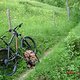 Adersberg-Trail