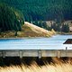 Die Eckertalsperre ist die wohl schönste Talsperre im Harz