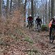 IMG 5237