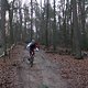 IMG 1262