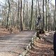 IMG 1558