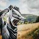 oneal 2022 bike blade-hyperlite-helmet-charger element-fr-jersey revolution-glove b-30-goggle-hexx 2