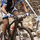 IMG 0241