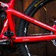 Pivot-Matt-Walker-6670