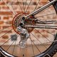 Scar Cycles-7