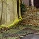 IMG 1822