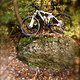 CUBE AMS 0168