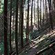 DSCF3713b