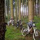 Drei Bikes im Wald