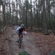 IMG 1263