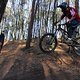 IMG 1719