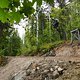 Roadgap