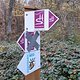 Salomon Community Run