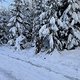 IMG 3410