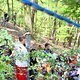 IMG 4911