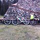 IMG 1584