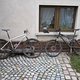 Muddy Trail Junkies 130