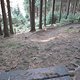 IMG 0994Large 1272301619