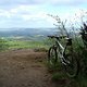 DSC00446
