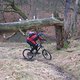 IMG 6482