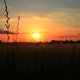 IMG 5397