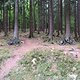 Taunus
