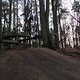 IMG 2036