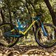 MONDRAKER FPODIUM AUSTRALIA 012