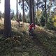 IMG 20241012 135815