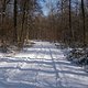 Einfahrt in den Winterwald