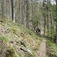 Hirschrott-Muesaul Lecker Trail2 Tag1