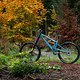 Starling Cycles Sturn V2 Downhill Bike-033