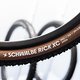 Der neue Schwalbe Rick XC soll mit einem perfekten Mix aus Grip und Rollwiderstand auftrumpfen.