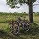 Lieblingsbank 3