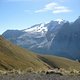 IMG 5247