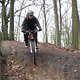 IMG 0506