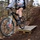 IMG 6675