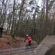 IMG 1204