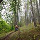 TransVerdon2016 (23)
