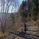 DSC06465-ck