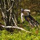 scott-sports-action-image-scott-sr-suntour-2020-bike- DSC0894