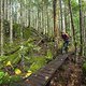 BC Squamish - Entrails