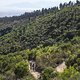 Rider ahead up a climb during Stage 3 of the 2025 Absa Cape Epic Mountain Bike stage race held at Fairview, Paarl, Cape Town, South Africa on the 19th March 2025. Photo by Dom Barnardt/Cape Epic
PLEASE ENSURE THE APPROPRIATE CREDIT IS GIVEN TO THE PH