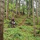 IMG 20250609 110908