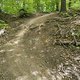 Gratis Wurzeltrail