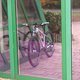 IMAG0066
