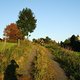 DSCF3675 1286822374